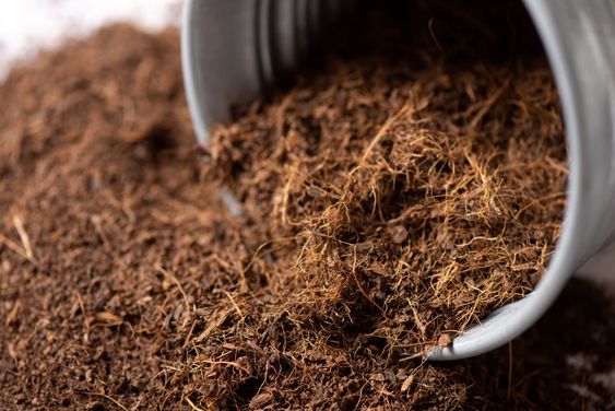 Como Escolher o Tabaco Ideal: Guia Completo